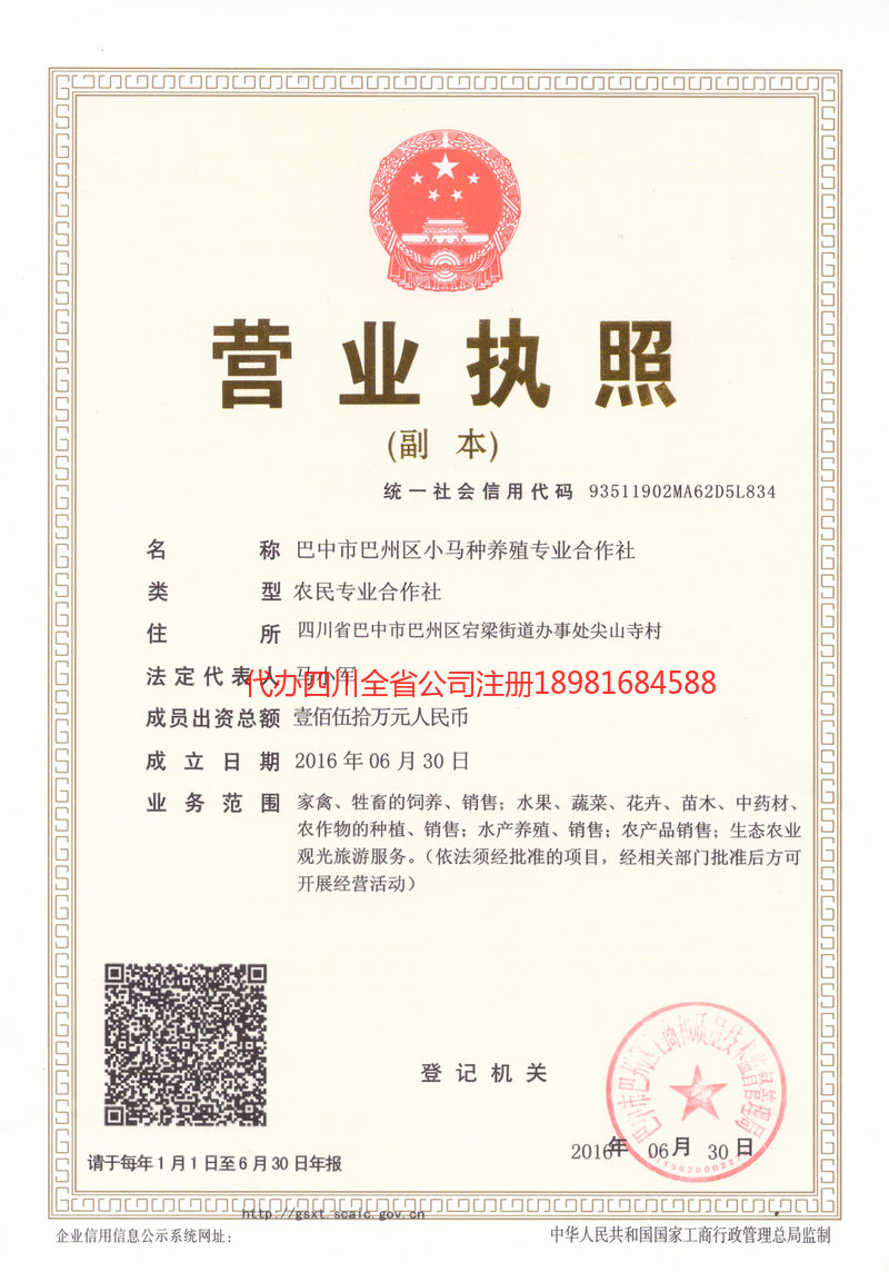 那曲那曲小马种养殖专业合作社